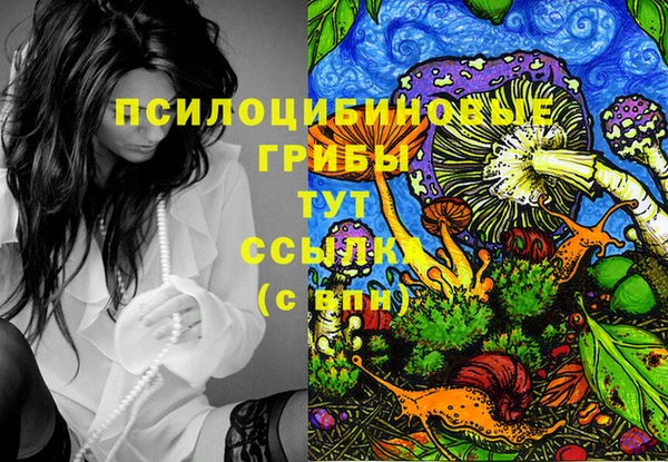 ПСИЛОЦИБИНОВЫЕ ГРИБЫ Арсеньев