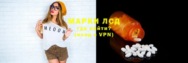ПСИЛОЦИБИНОВЫЕ ГРИБЫ Арсеньев
