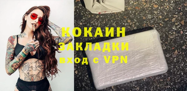 ПСИЛОЦИБИНОВЫЕ ГРИБЫ Арсеньев