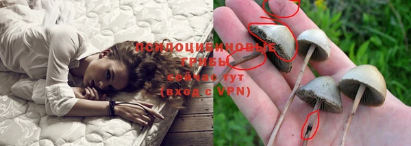 mdpv Аркадак